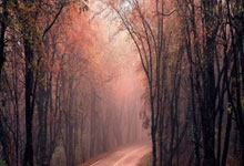 No Tax on Overtime: The Breakthrough for Your Earnings, How it Works, and When it Begins