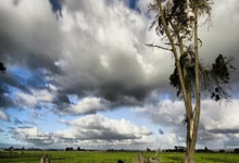 IFC: Decoding the Schedule, 'Fights,' and Core Identity