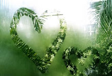 IFC: Decoding the Schedule, 'Fights,' and Core Identity