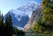 IFC: Decoding the Schedule, 'Fights,' and Core Identity